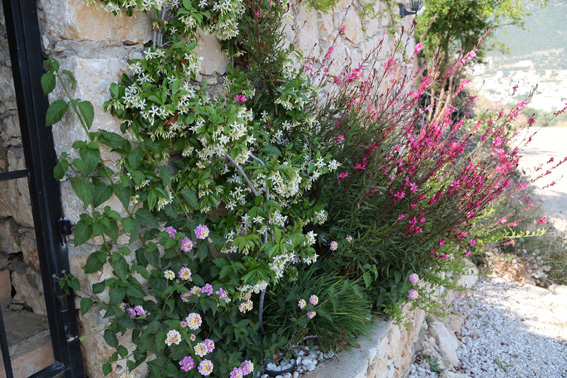 Flowers at gate of villa