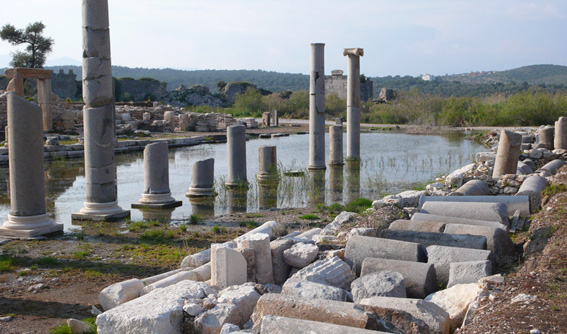 Patara ruined columns