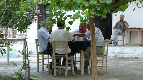 Turkish men playing backgammon under trees in rural village