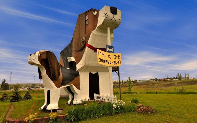 Dog-shaped B and B in the USA